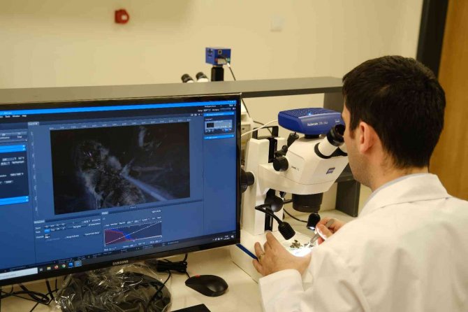 Sivas Cumhuriyet Üniversitesi Arı Hastalıkları Teşhisine Başladı