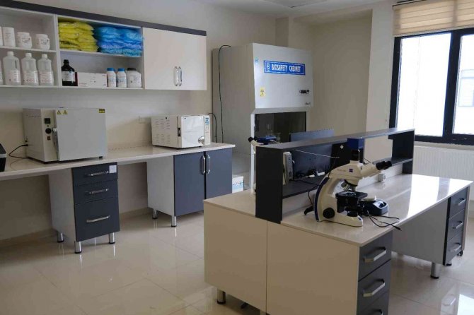 Sivas Cumhuriyet Üniversitesi Arı Hastalıkları Teşhisine Başladı