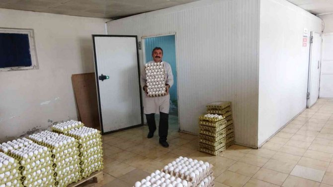 Muş’ta Kdv İndirimi Yumurta Üreticisini Sevindirdi
