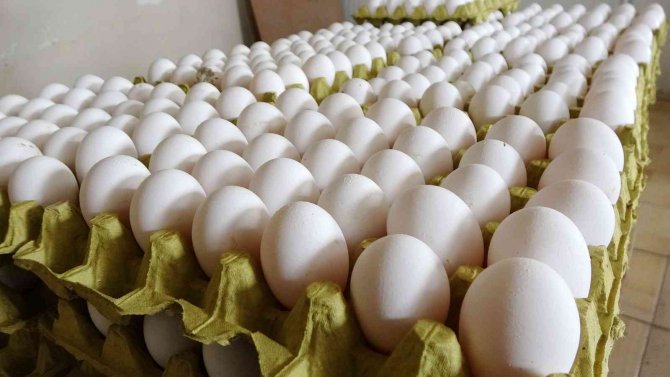Muş’ta Kdv İndirimi Yumurta Üreticisini Sevindirdi