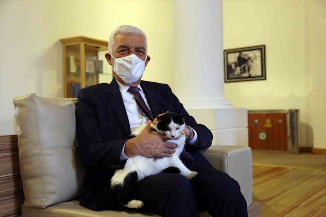 26 Bin Can Dostu Tedavi Edildi