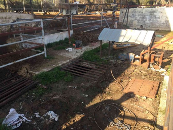Fetö’den İhraç Komiser Çiftliğin Gider Çukuruna Düşerek Öldü