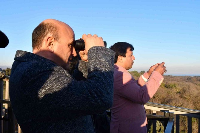 Dünyaca Ünlü Çevre Bilimciden Altınova Övgüsü