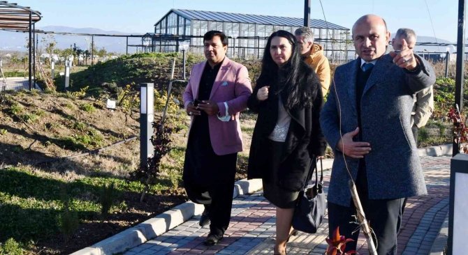Dünyaca Ünlü Çevre Bilimciden Altınova Övgüsü