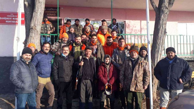 Pandemi Yaban Domuzlarına Yaradı
