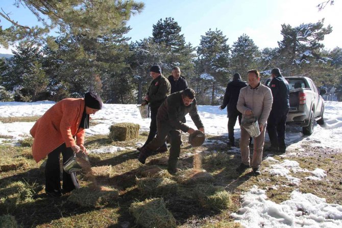 İ̇skilip’te Doğaya Yem Bırakıldı