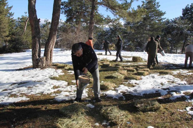 İ̇skilip’te Doğaya Yem Bırakıldı