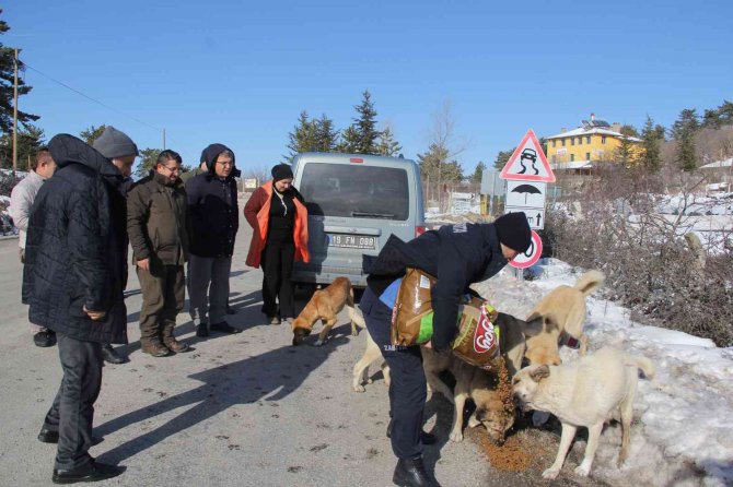 İ̇skilip’te Doğaya Yem Bırakıldı