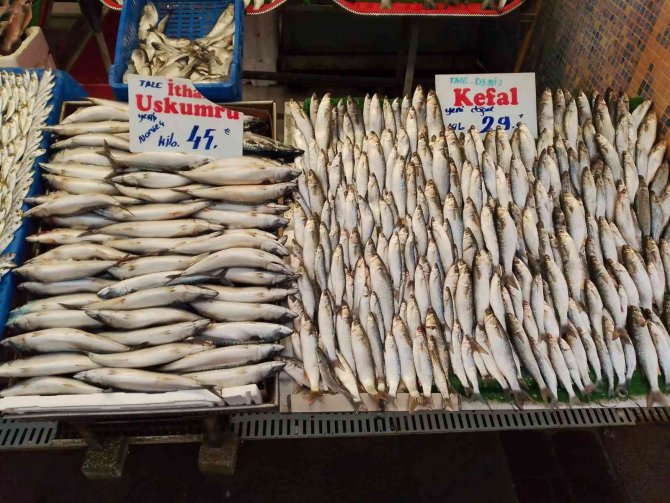 Kdv İndirimi Balık Tezgahlarına Yansıdı