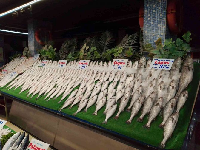 Kdv İndirimi Balık Tezgahlarına Yansıdı