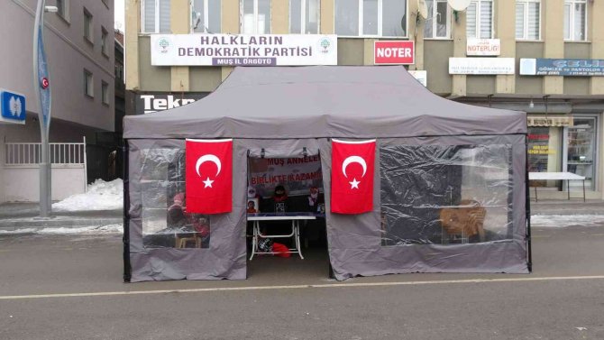 Muş’ta Evlat Nöbeti Tutan Ailelerin Sayısı 27’ye Yükseldi