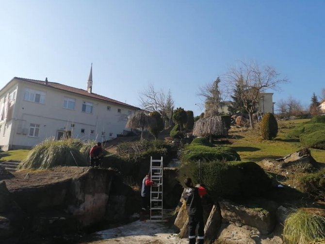 Düzce’de Ağaçlar Budanıyor