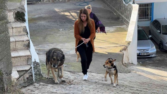 Komşusunun Kızına Ve Köpeğine Ağaç Dalıyla Saldırdı