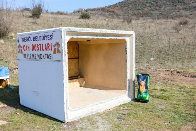 Can Dostları İçin Yeni Beslenme Noktaları Oluşturuluyor