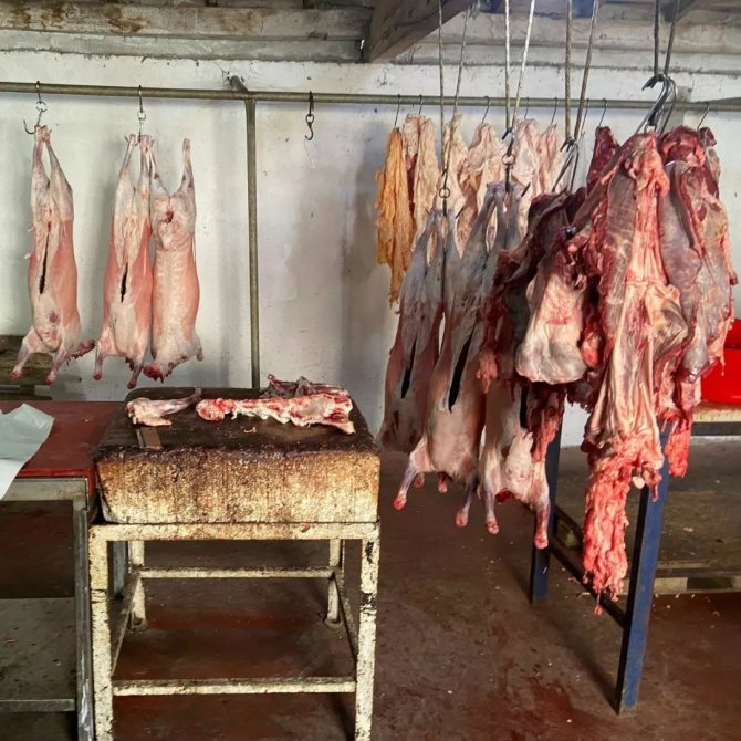 1 Ton 800 Kilogram Ete El Konuldu: 62 Bin Tl Ceza