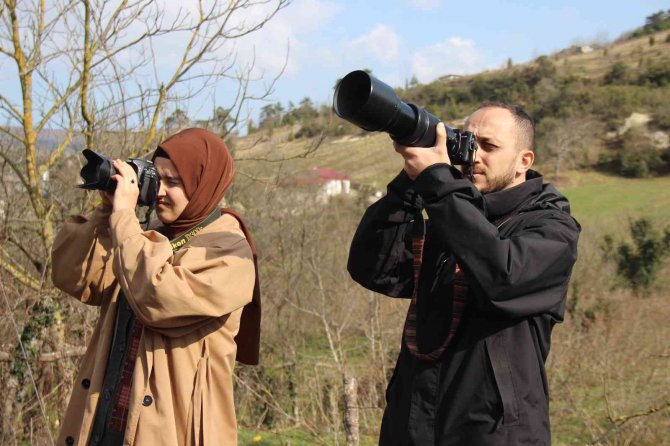 Gerçek Bir Hayvansever