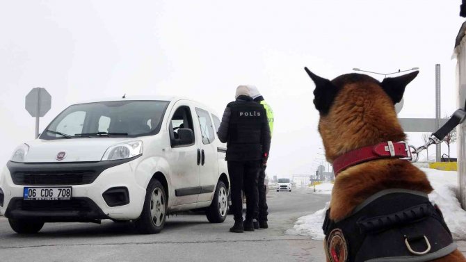 Muş’ta Otoyollar Hassas Burunlara Emanet