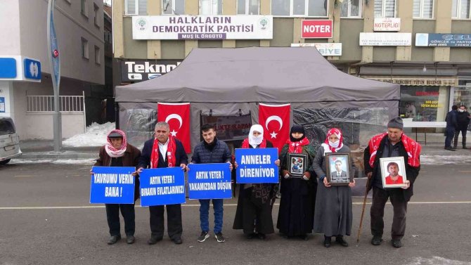 Muş’ta Evlat Nöbeti Tutan Ailelerin Sayısı 27’ye Yükseldi