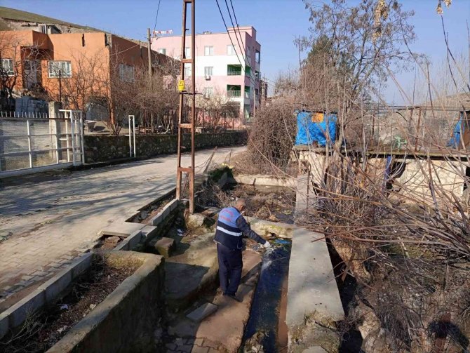 Siirt Belediyesi İlaçlama Çalışmalarına Başladı