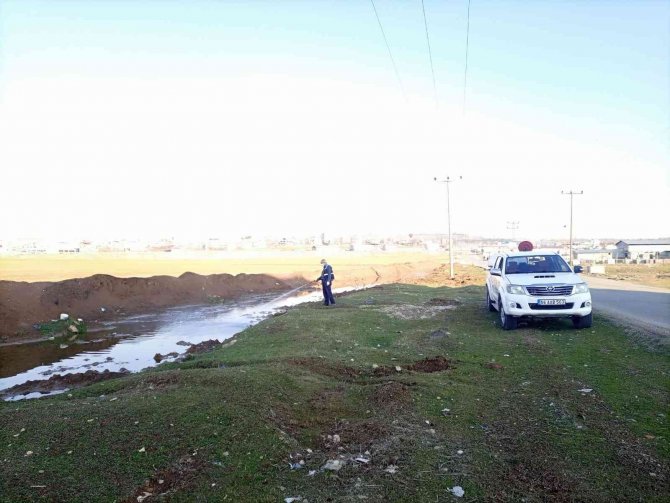 Siirt Belediyesi İlaçlama Çalışmalarına Başladı