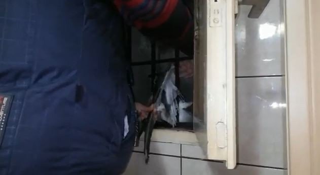 Hava Boşluğuna Düşen Martıyı Vatandaşlar Kurtardı