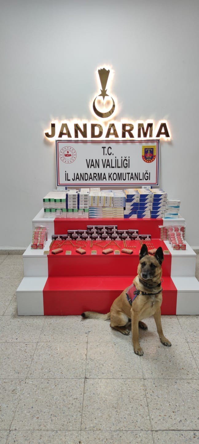 Başkale’de 3 Bin Mermi Ve 34 Bin Adet İlaç Ele Geçirildi