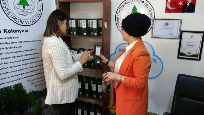 Yozgatlı Kadınlar Çam Kolonyası Üretti