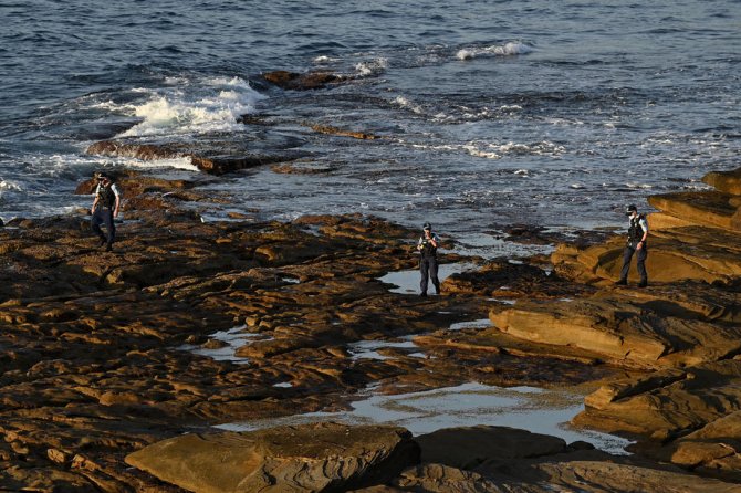 Sydney’de 1963’ten Bu Yana İlk Ölümcül Köpekbalığı Saldırısı