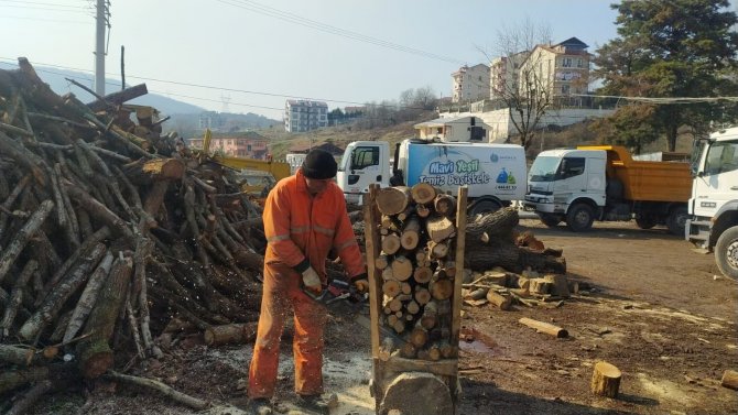 Başiskele’de Ağaçlara Bakım Yapıldı