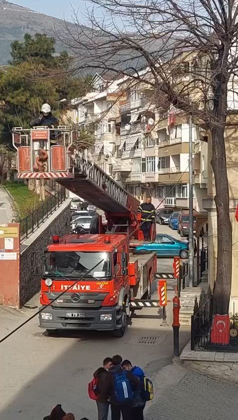 Bursa’da Ağaçta Asılı Kalan Kuşu İtfaiye Ekipleri Kurtardı