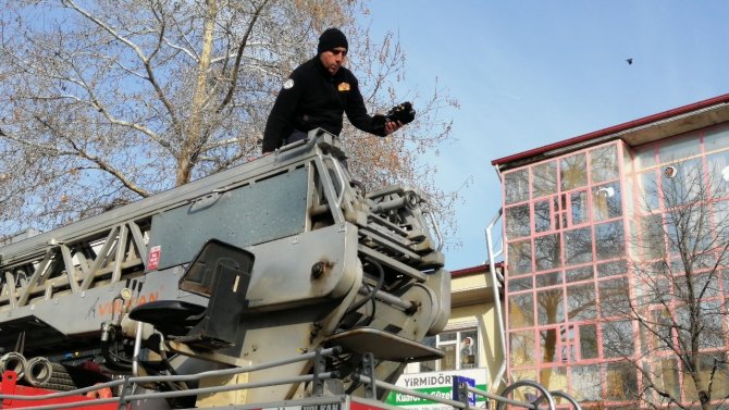 Ağaçta Asılı Kalan Kargayı İtfaiye Ekipleri Kurtardı