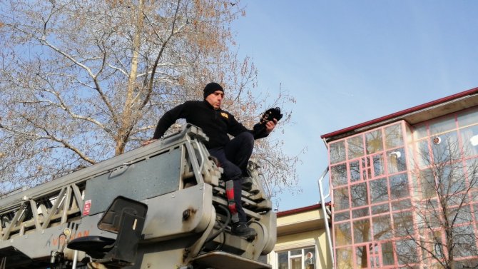 Ağaçta Asılı Kalan Kargayı İtfaiye Ekipleri Kurtardı