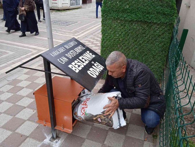 Karacabey’de Sokak Hayvanları Sahipsiz Değil