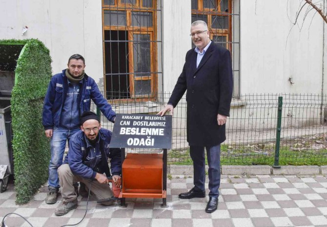 Karacabey’de Sokak Hayvanları Sahipsiz Değil