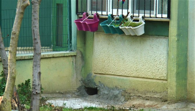 Duvarın Oyuğuna Saklanan Kedilerin Canlı Canlı Gömüldüğü İddiası Ortalık Karıştırdı
