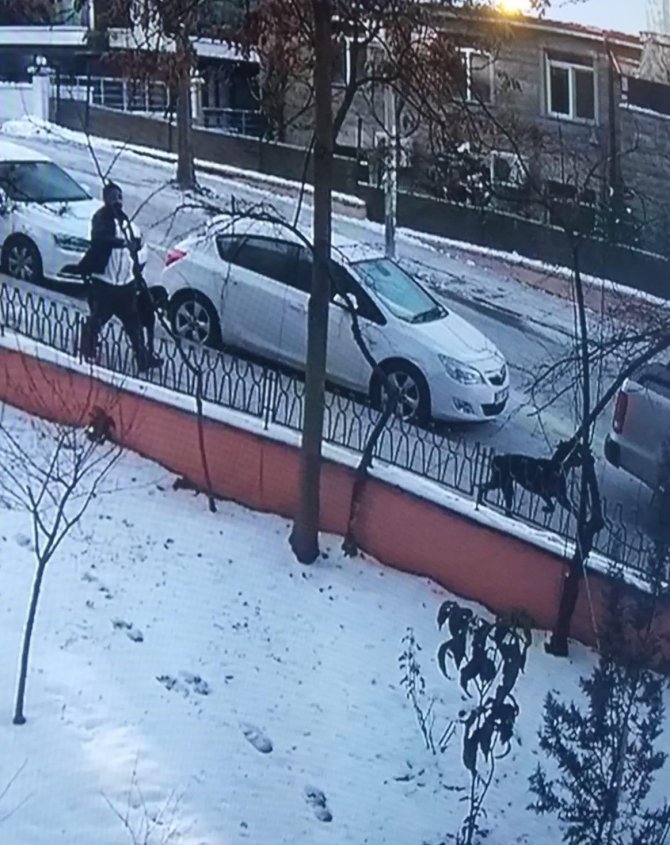 Ankara’da Bir Hayvansever Çalınan 2 Köpeğini 18 Gündür Sokak Sokak Arıyor