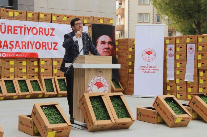 Muğla’da Nisan Sonuna Kadar 1 Milyon 900 Bin Fide Toprakla Buluşacak