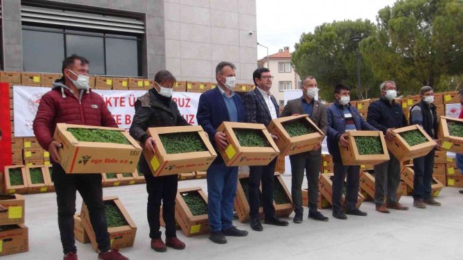 Muğla’da Nisan Sonuna Kadar 1 Milyon 900 Bin Fide Toprakla Buluşacak