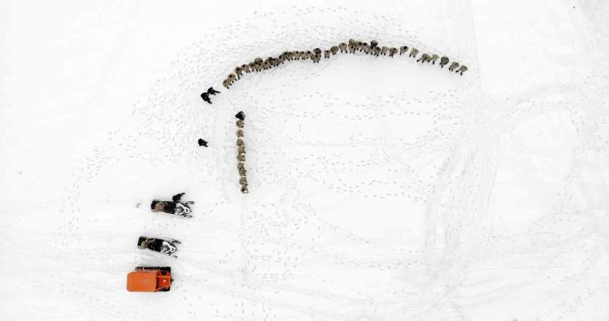 Muş’ta Güvenlik Korucularına ‘Çığ’ Eğitimi