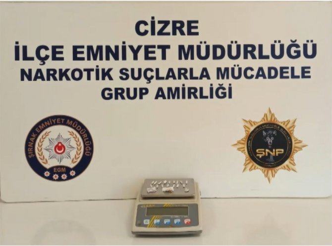 Şırnak’ta Hassas Burunlu Köpeklerle Narkotik Operasyonu: 9 Gözaltı