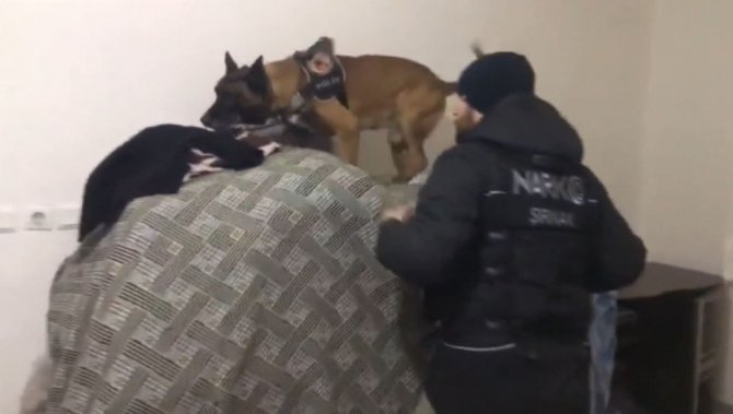 Şırnak’ta Hassas Burunlu Köpeklerle Narkotik Operasyonu: 9 Gözaltı