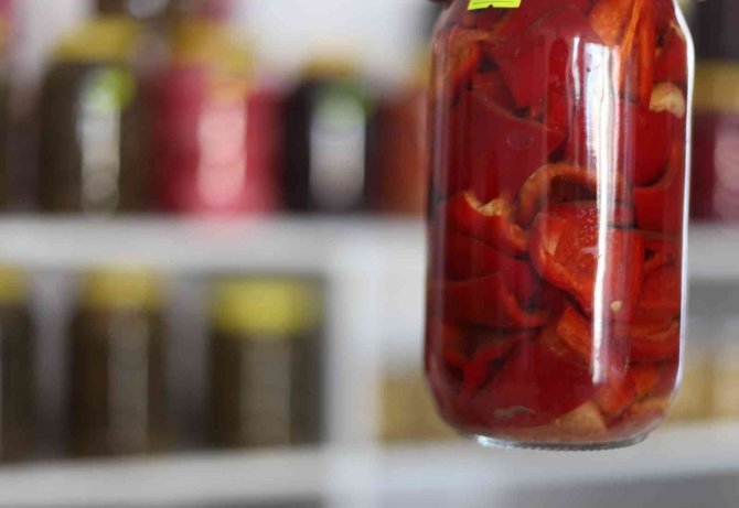 Bağışıklık Sistemine Turşu Dopingi