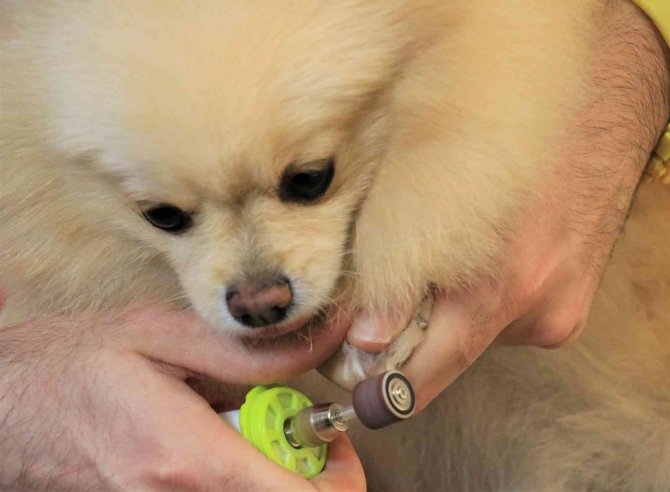 Bu Sınav İlk Defa Yapıldı Bir Kişi Girdi 3 Saat Sürdü