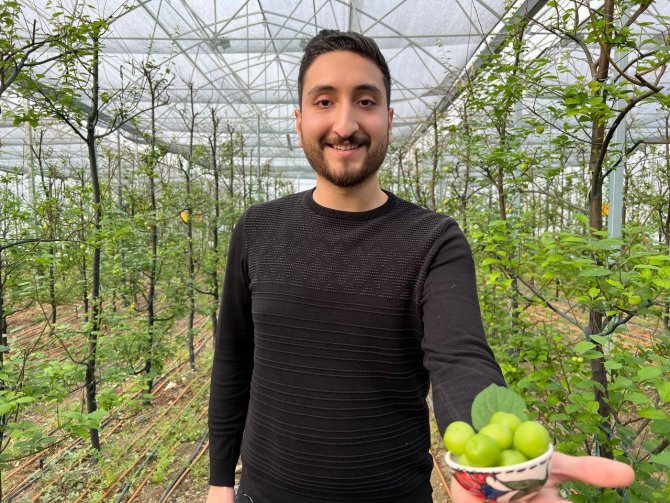 Kilosu 2 Bin Lira Olan Papaz Eriği Arap Şeyhlerinin Gözdesi