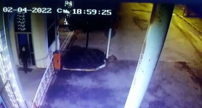 Tuzla’da Beslediği Köpeklerin Saldırısına Uğradı, Yine De Köpekleri Beslemekten Vazgeçmedi