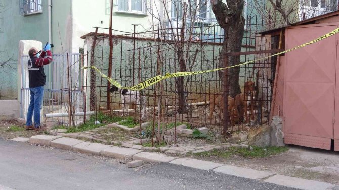 Komşuların Köpek Kavgasında Kan Aktı; 1 Ağır Yaralı