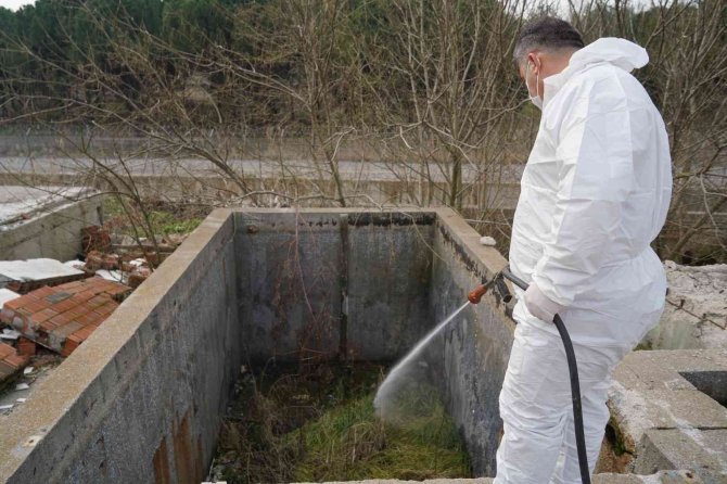 Altıeylül’de Haşere İle Mücadele Kışın Da Sürüyor
