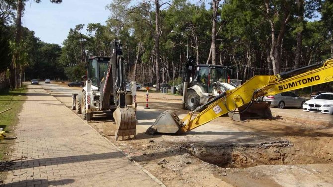 Sorgun Çamlığı’nda Ağaç Katliamı İddiası Jandarmayı Harekete Geçirdi