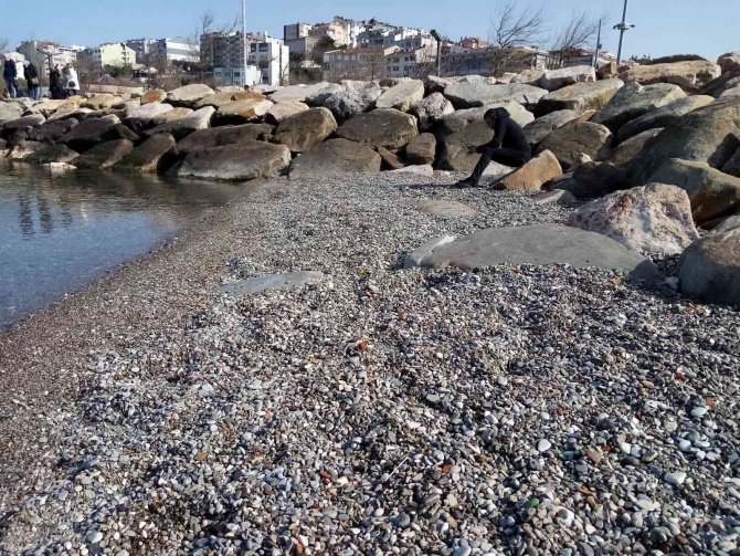 Deniz Çekilmesi Bandırma’da Devam Ediyor