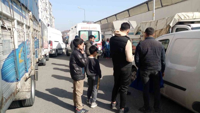 Çarpar Diye Panikledi, Dengesini Kaybederek Düşüp Yaralandı